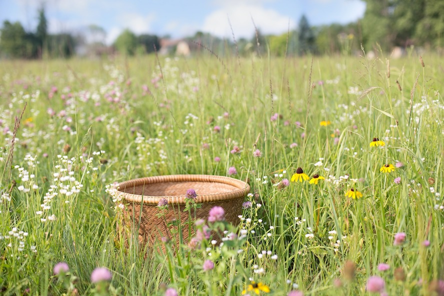 basket in a wildflower field